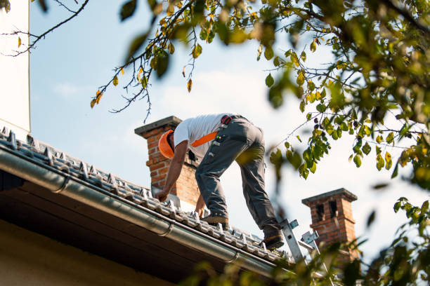 Professional Roofing Contractor in New Ellenton, SC