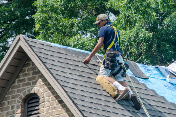 Best Shingle Roofing Installation  in New Ellenton, SC